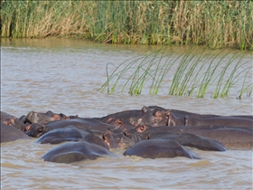 Hluhluwe River